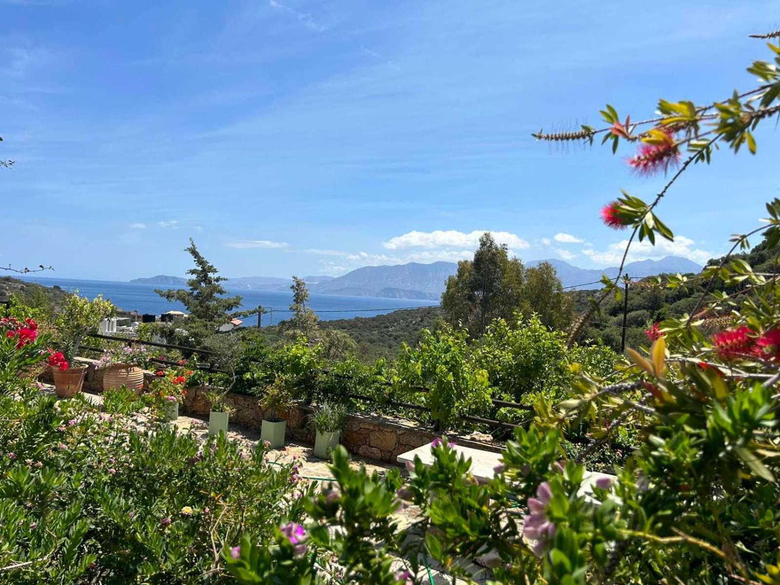 Fissi Villas Agritourism Accommodation Near The Sea Agios Nikolaos  Luaran gambar